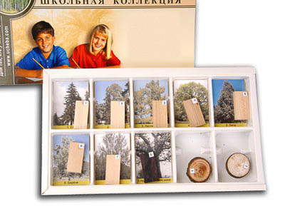 Коллекция "Древесные растения и их распространение" (раздаточная)