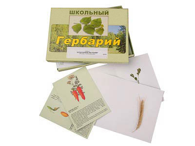 Гербарий "Культурные растения" (30 видов, с иллюстрациями)